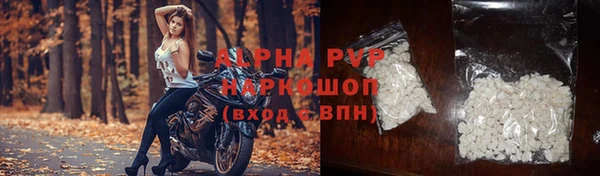 сатива Абинск