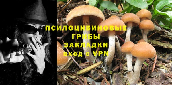 сатива Абинск