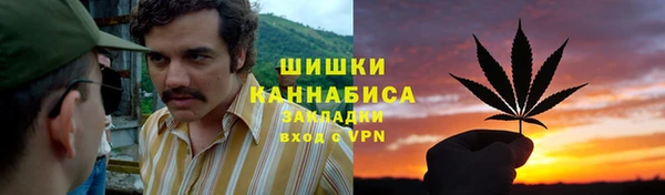 сатива Абинск
