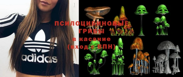 каннабис Абаза