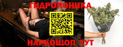 прущие грибы Малоярославец