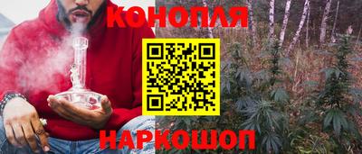 прущие грибы Малоярославец