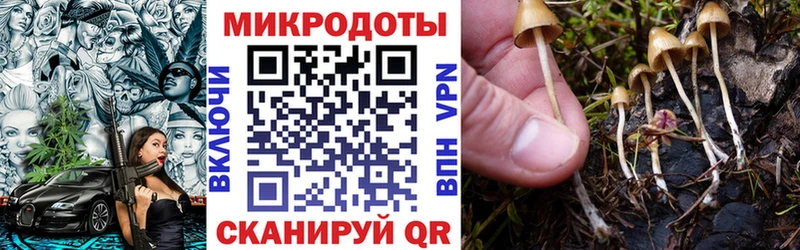 Псилоцибиновые грибы GOLDEN TEACHER  хочу наркоту  Советская Гавань 
