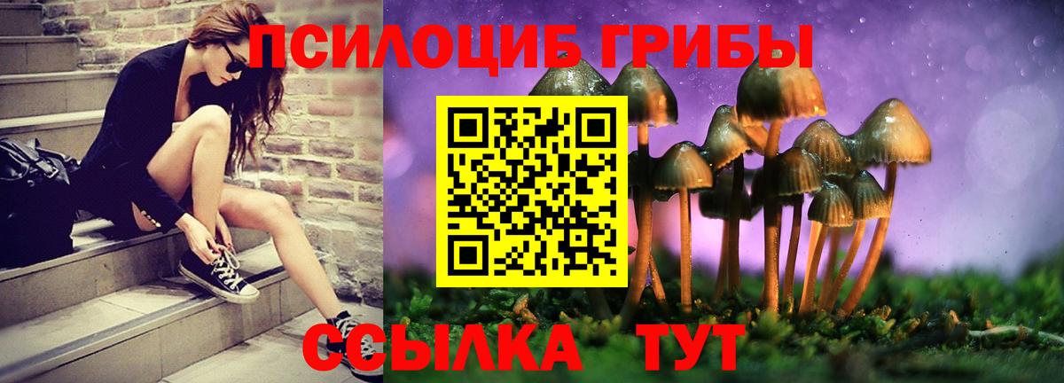 Псилоцибиновые грибы Cubensis  Вход с VPN  Псилоцибиновые грибы ЛСД  Советская Гавань 